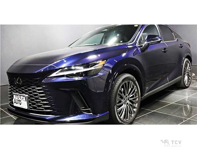 2024 Lexus RX