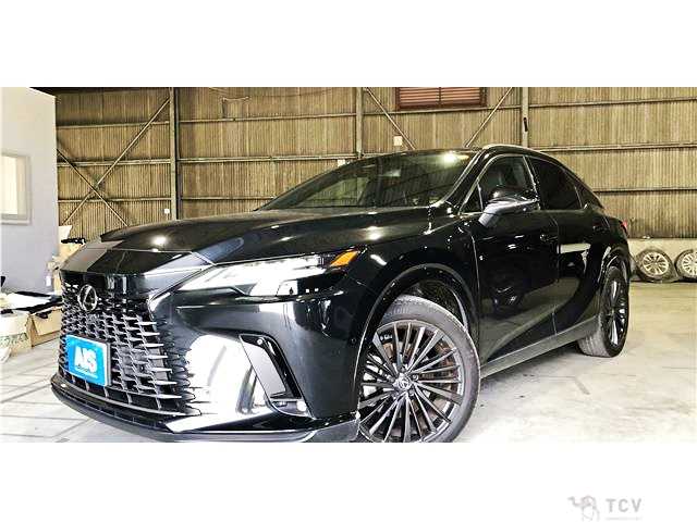 2024 Lexus RX