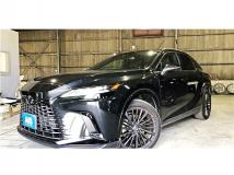 2024 Lexus RX