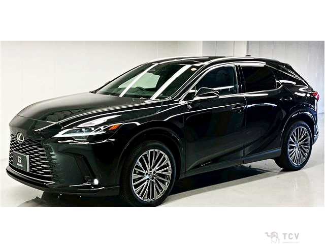 2024 Lexus RX