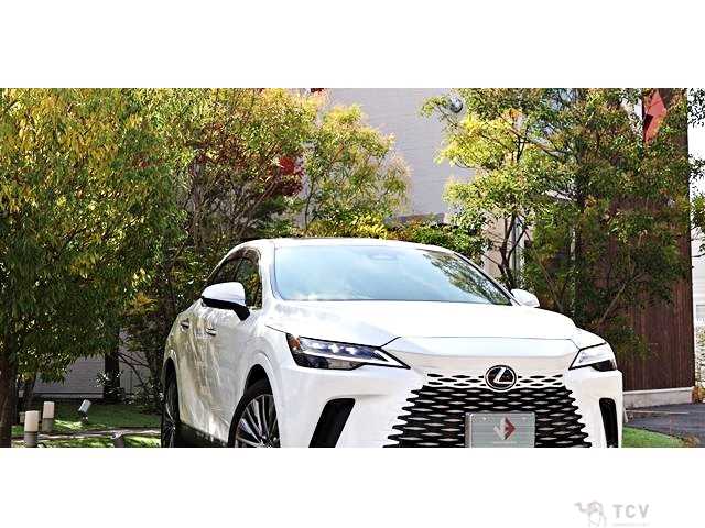 2024 Lexus RX