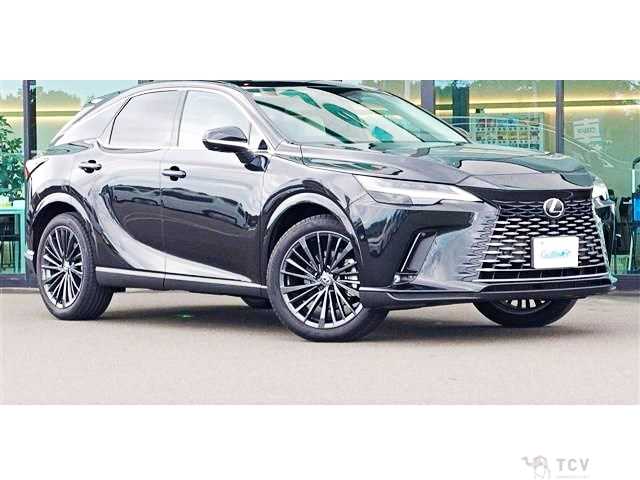 2024 Lexus RX