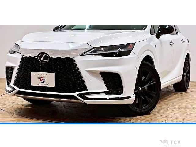 2024 Lexus RX