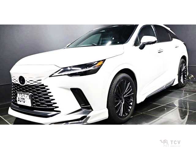 2024 Lexus RX