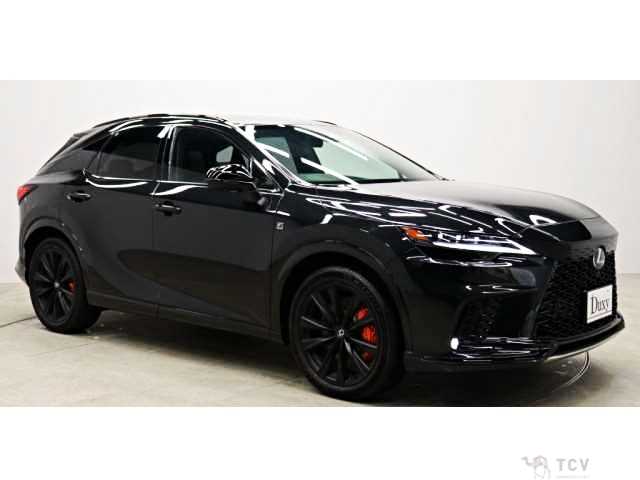 2024 Lexus RX