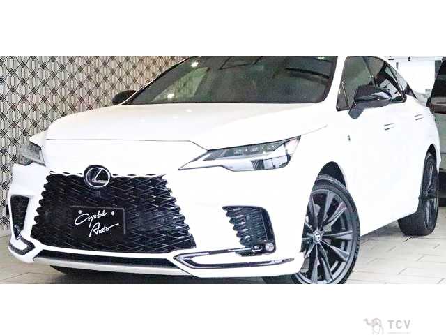 2024 Lexus RX