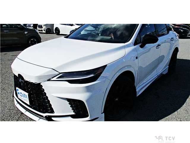 2024 Lexus RX