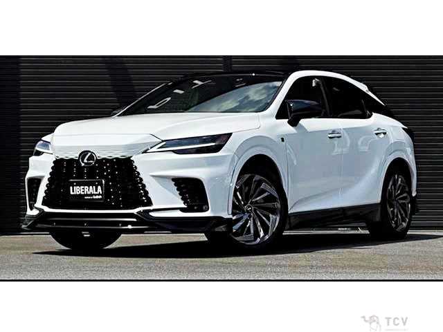 2024 Lexus RX
