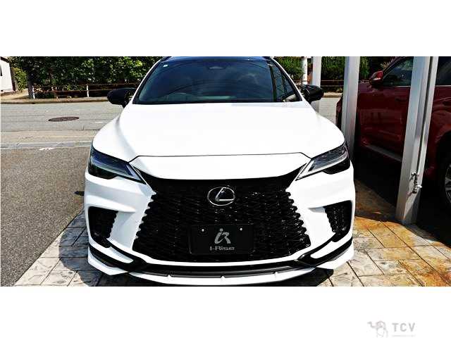 2024 Lexus RX