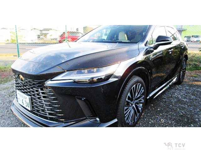 2023 Lexus RX