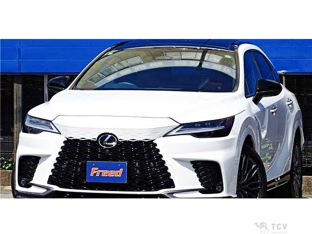2023 Lexus RX