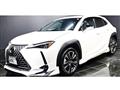 2025 Lexus Other