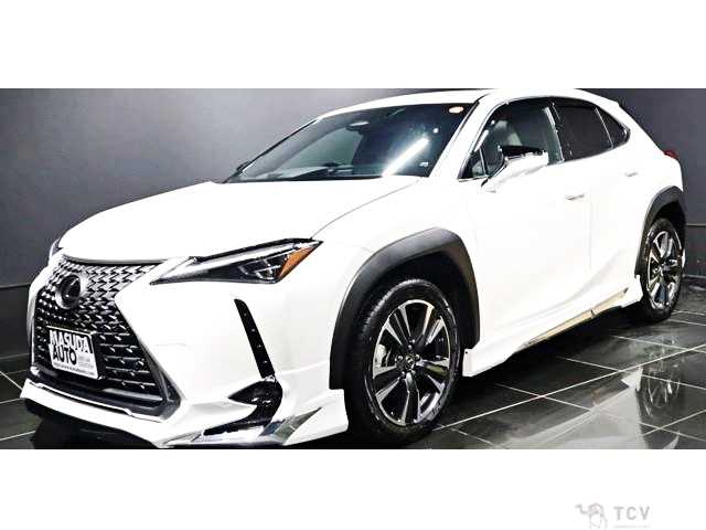 2025 Lexus Other