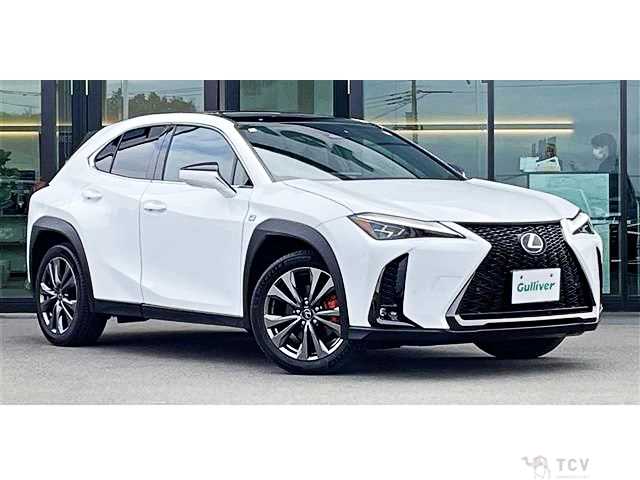 2024 Lexus Other