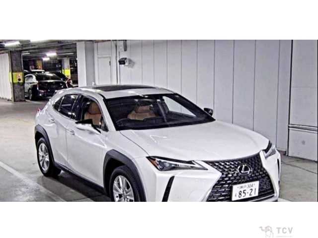 2023 Lexus Other