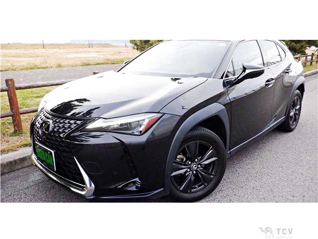 2023 Lexus Other