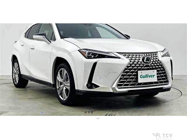 2023 Lexus Other