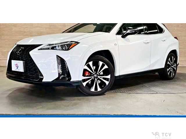 2023 Lexus Other