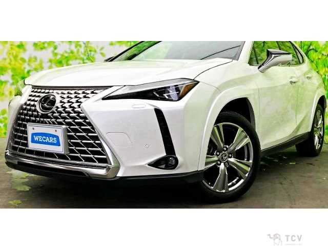 2023 Lexus Other