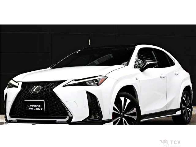 2023 Lexus Other
