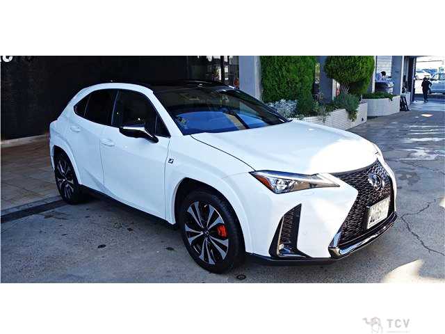 2023 Lexus Other