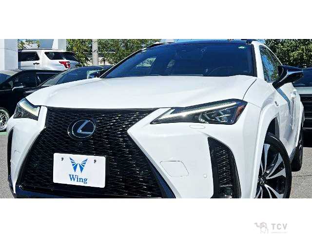 2023 Lexus Other