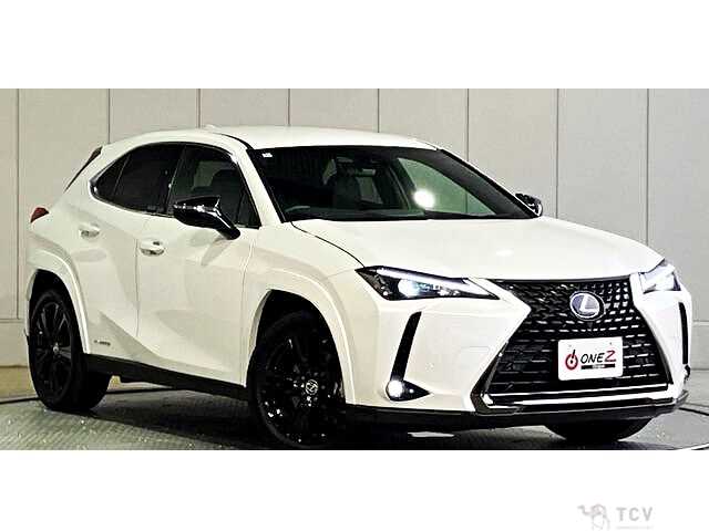 2022 Lexus Other