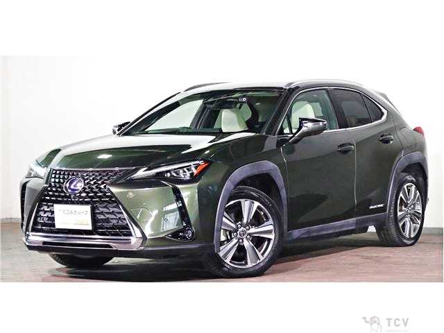 2021 Lexus Other
