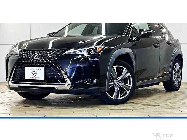 2021 Lexus Other