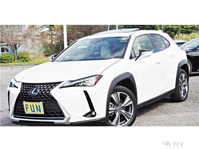 2021 Lexus Other