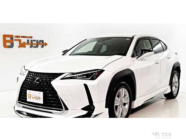 2021 Lexus Other