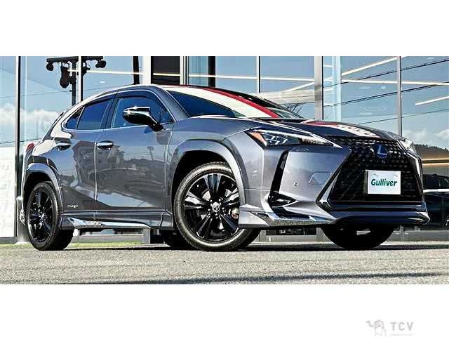 2021 Lexus Other