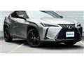 2021 Lexus Other