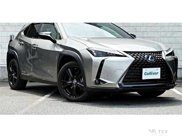 2021 Lexus Other