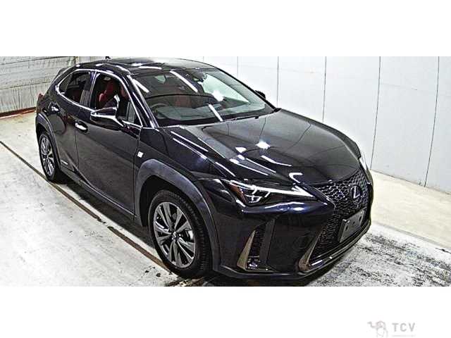 2021 Lexus Other