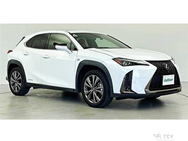 2021 Lexus Other