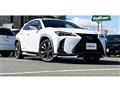 2021 Lexus Other