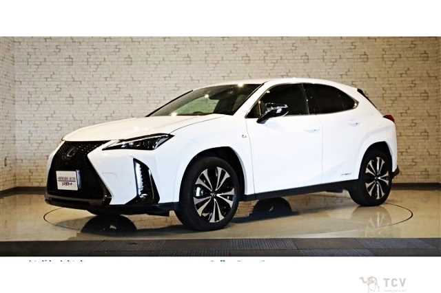 2021 Lexus Other