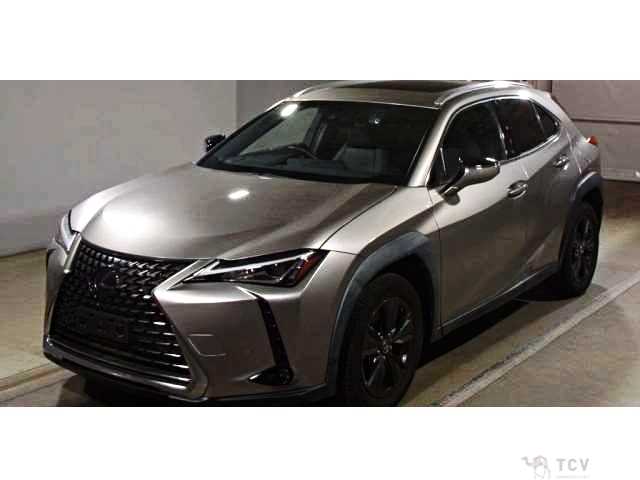 2020 Lexus Other
