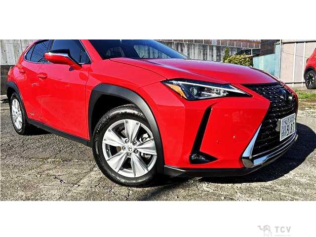 2020 Lexus Other