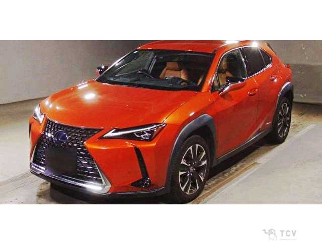 2020 Lexus Other