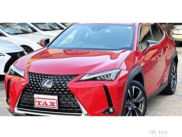2020 Lexus Other