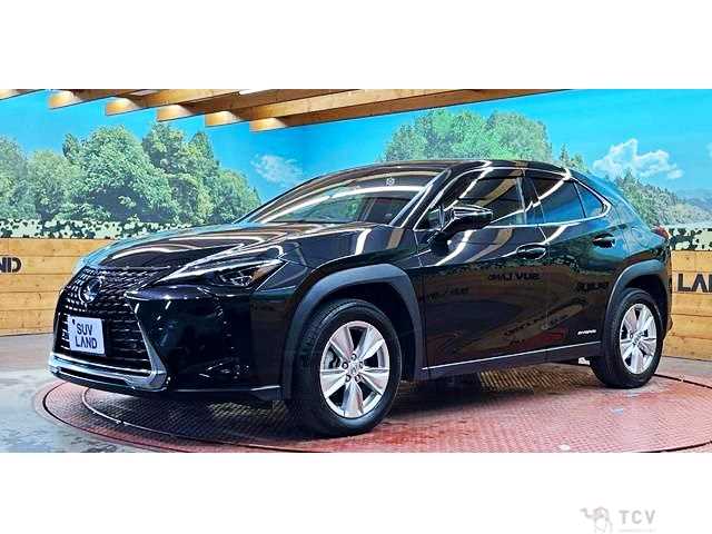 2020 Lexus Other