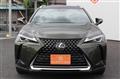 2020 Lexus Other