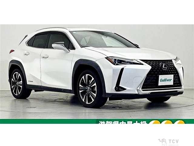 2020 Lexus Other