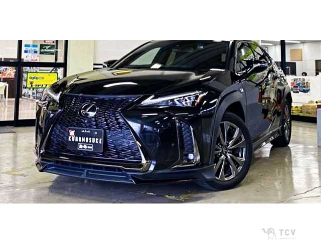 2020 Lexus Other