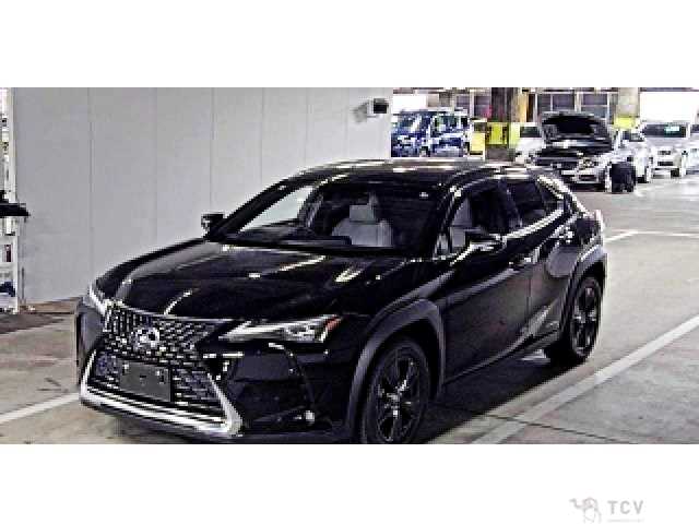 2020 Lexus Other