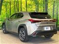 2020 Lexus Other