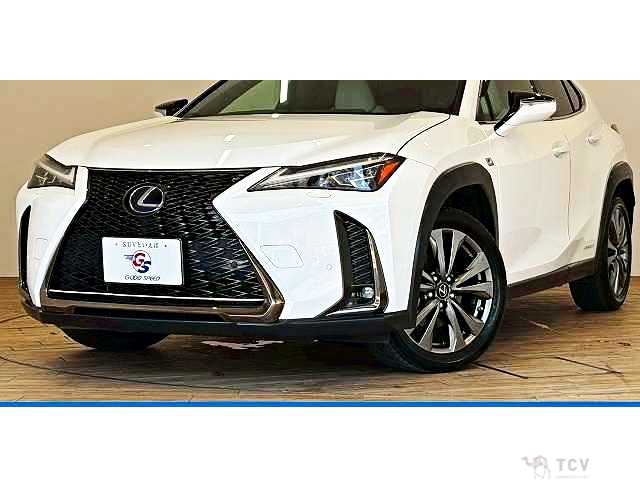 2020 Lexus Other