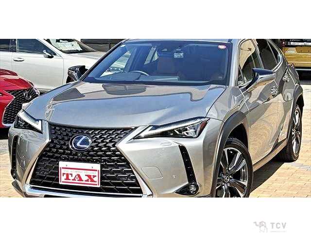 2020 Lexus Other